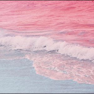 Meet your Posher, Findley